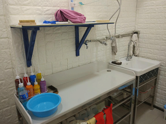 <a href='http://www.c662.cn/aboutus.html'>潔希亞國際洗衣</a>大竹林店4