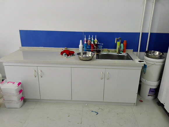 恭賀潔希亞國際洗衣雙溝店開業大吉8